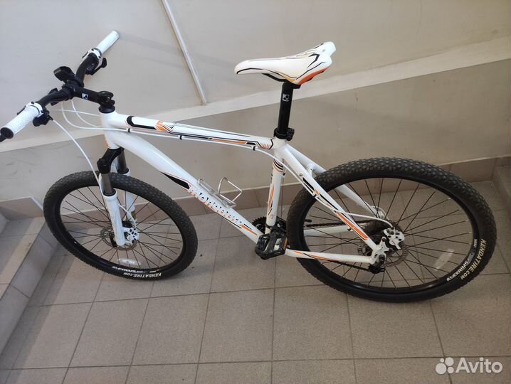 Mongoose Expert