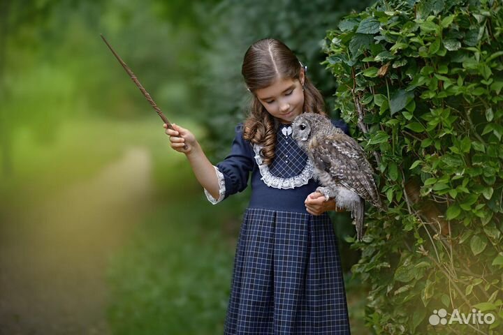 Волшебная палочка Гермионы