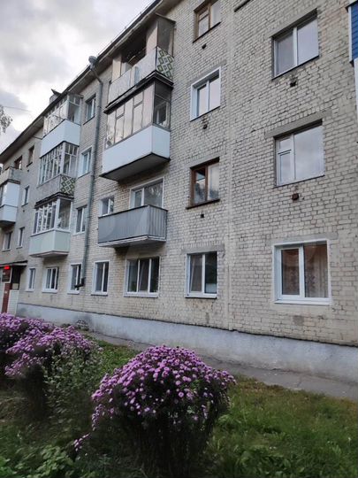 1-к. квартира, 30,6 м², 1/4 эт.