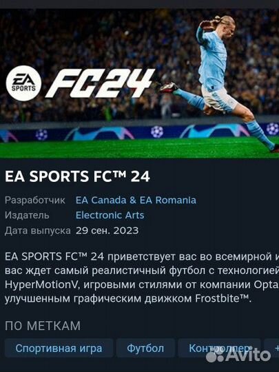 Fifa 24 steam