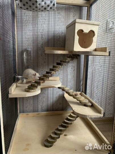 Клетка для грызунов и шиншилл