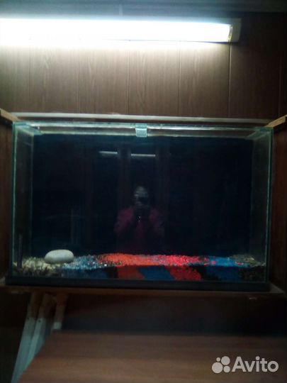 Настенный аквариум