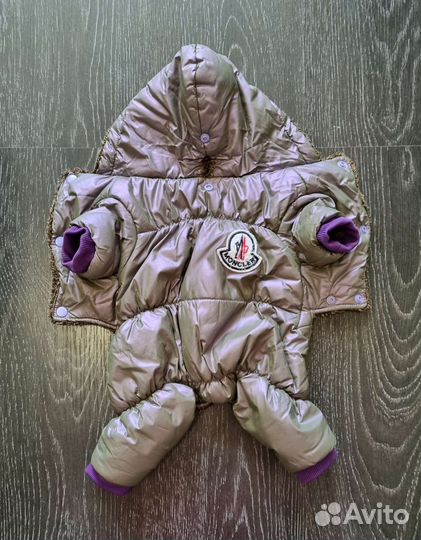 Костюм для собаки