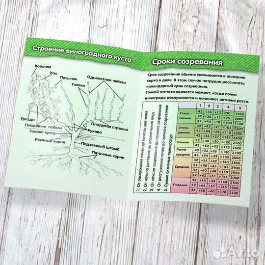 Календарь виноградаря - брошюра