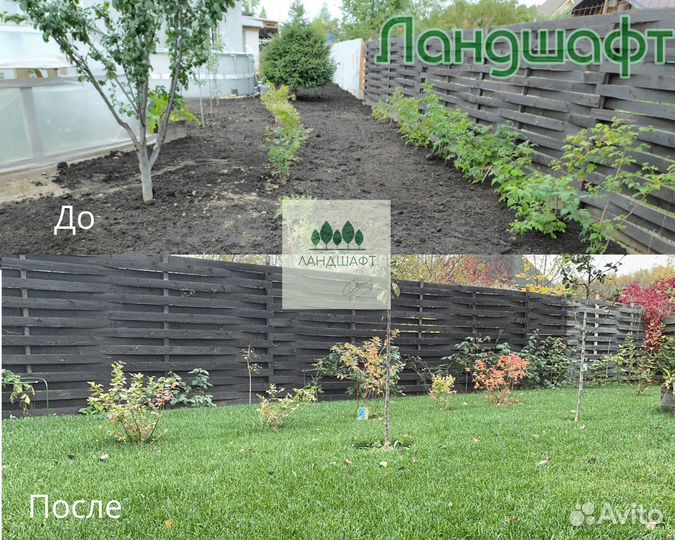 Высший сорт рулонного газона в рулонах мо