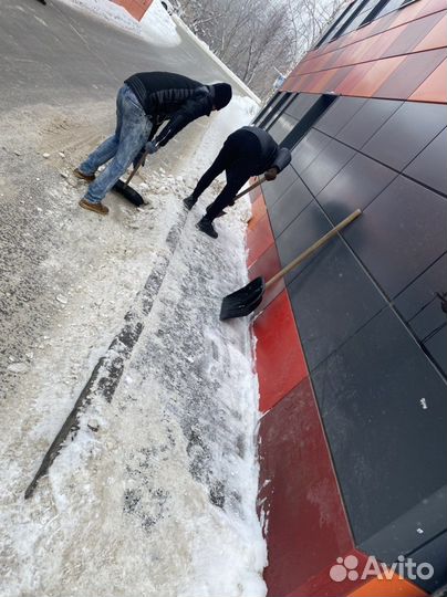 Грузчики,разнорабочие