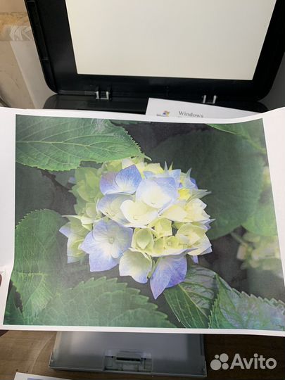 Мфу лазерный Samsung clx-3305