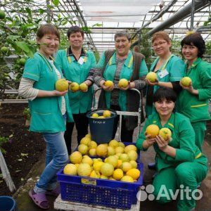 8.сен.23 Автобусный.тур 