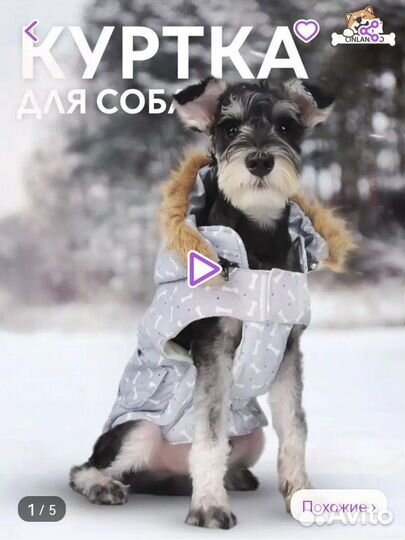 Одежда для собак мелких пород