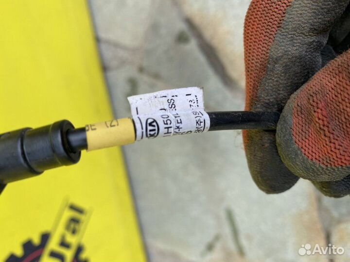 Антенна бесключевого доступа Kia Ceed Ed универсал