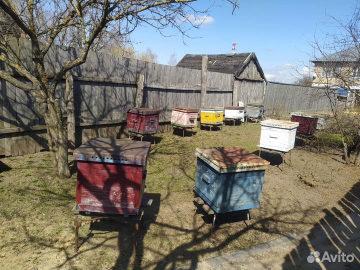 Ульи, рамки, магазины, медогонка, дымари и другое