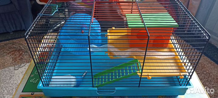 Клетка для хомяка бу