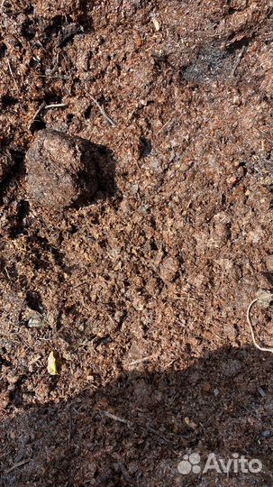 Перегной конский