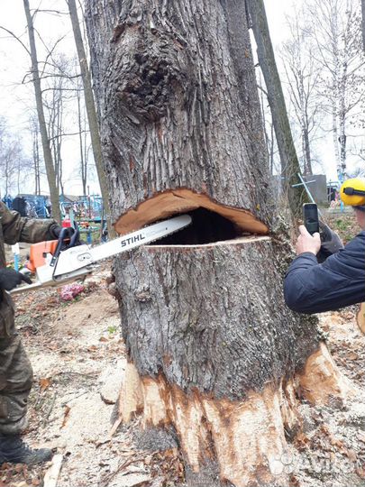 Спиливание деревьев