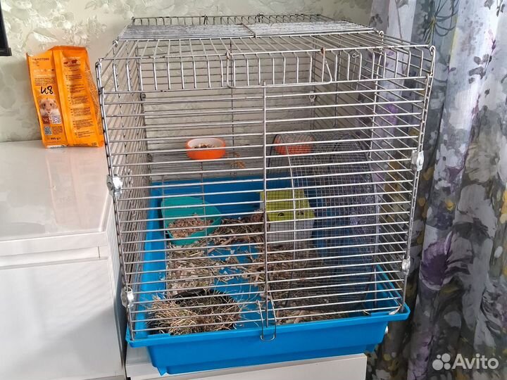Хомяк с клеткой