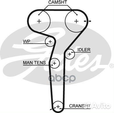 40831x24 Ремень грм 5423XS 5423XS Gates