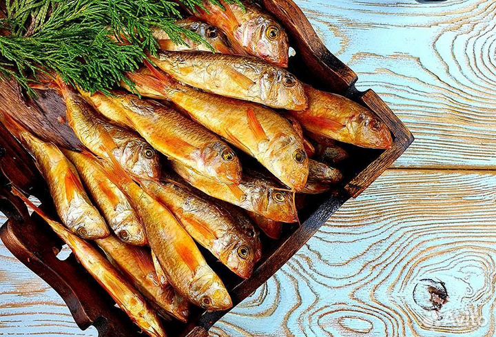 Раки и рыба Дагомыс