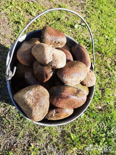 Камни для бани