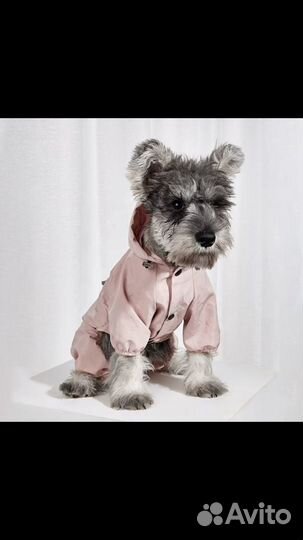 Комбинезон для собаки