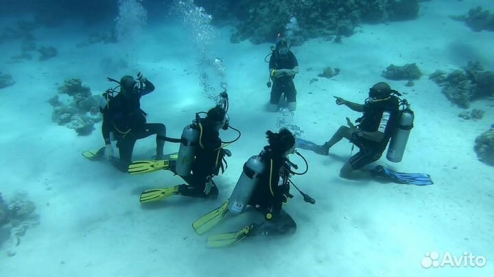 Обучение дайвингу