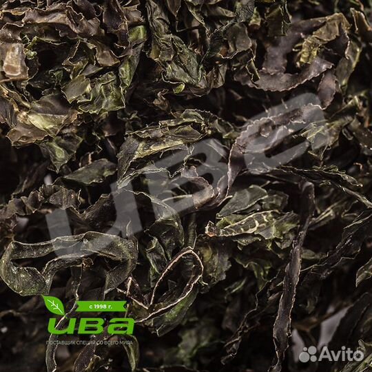 Морская капуста (Ламинария) сублимированная оптом