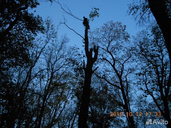 Спил,Удаление деревьев.Расчистка участков