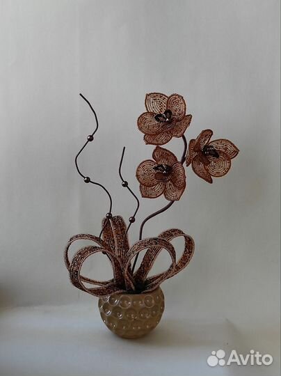 Орхидея Терамису