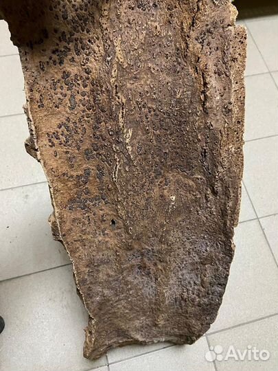 Кора пробкового дуба для террариума