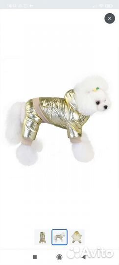 Костюм для собаки