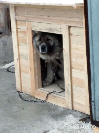 Будка для собаки