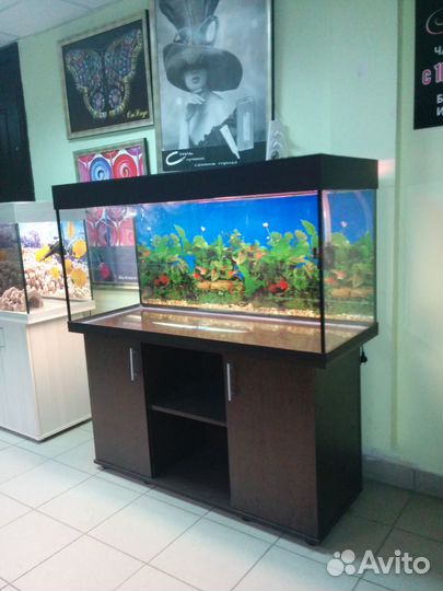 Аквариум 320 прямоугольный, свет, биофильтр, тумба