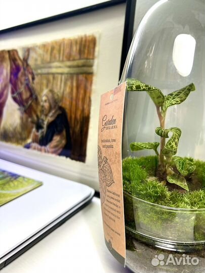 Картина,20х30