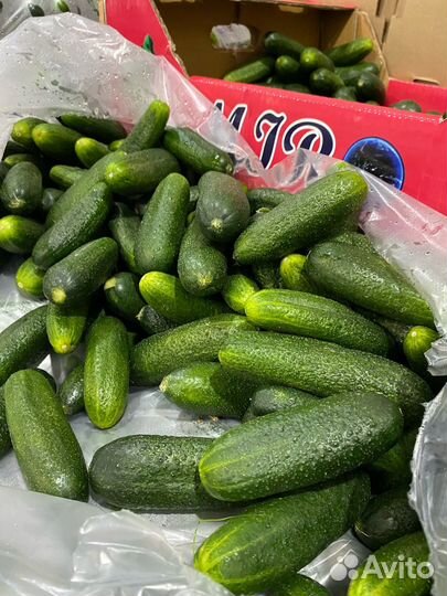 Доставка овощей и бакалеи