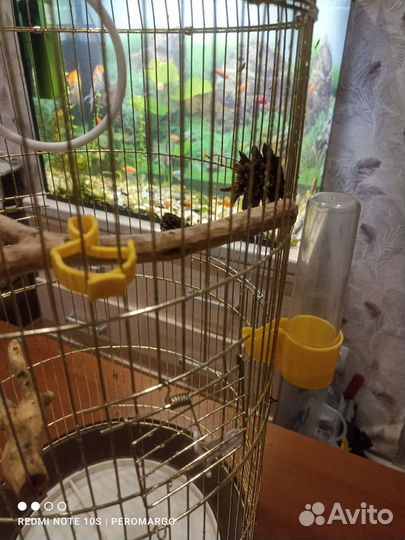 Клетка для попугая