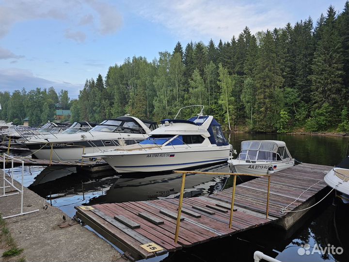 Bayliner 288