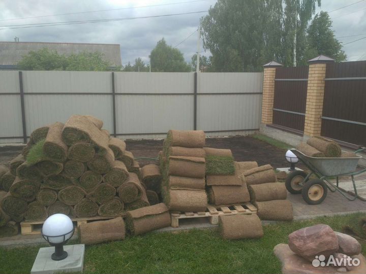 Рулонный газон