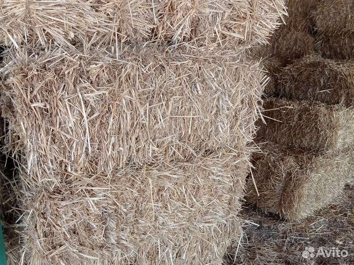 Солома пшеничная, ячменная в тюках