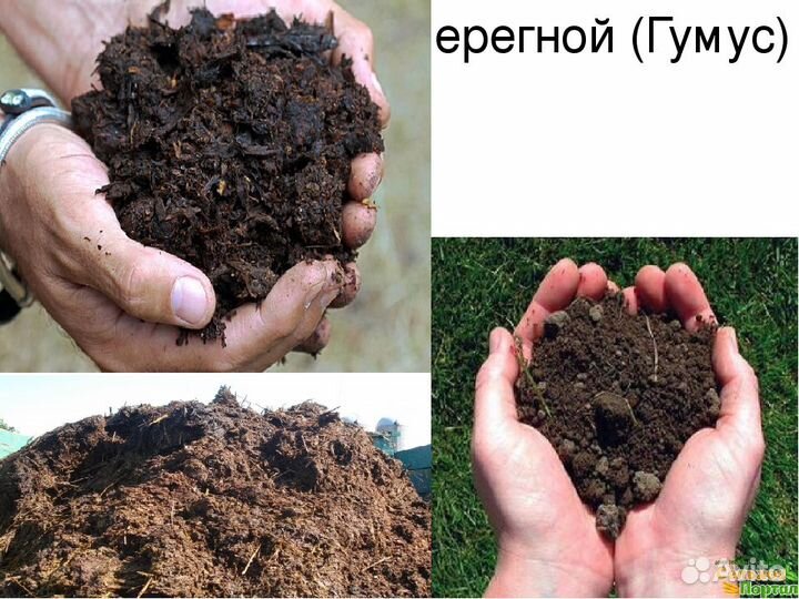 Высший чернозем алабушенский