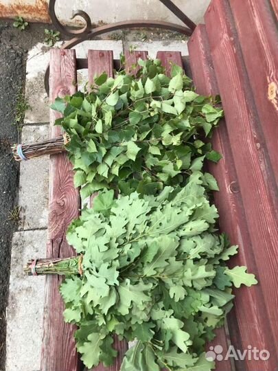 Веники дуб,береза,пихта,кедр,можевельник