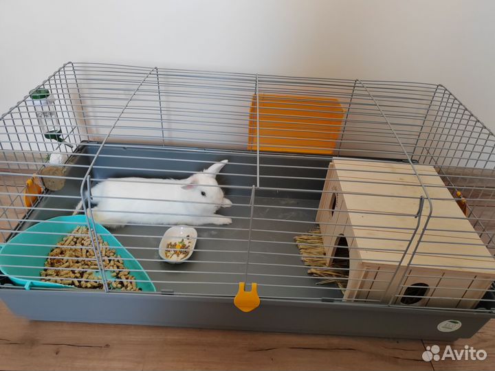 Клетка для декоративного кролика