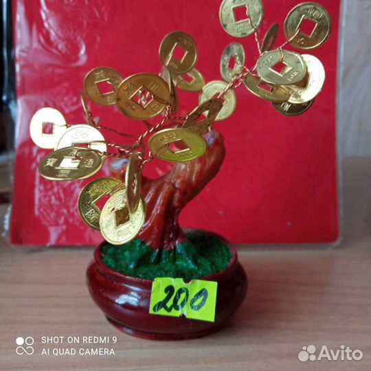 Денежное дерево