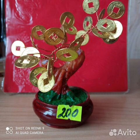 Денежное дерево