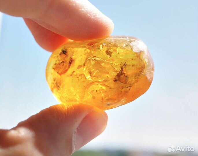 Натуральный балтийский янтарь с включением термита