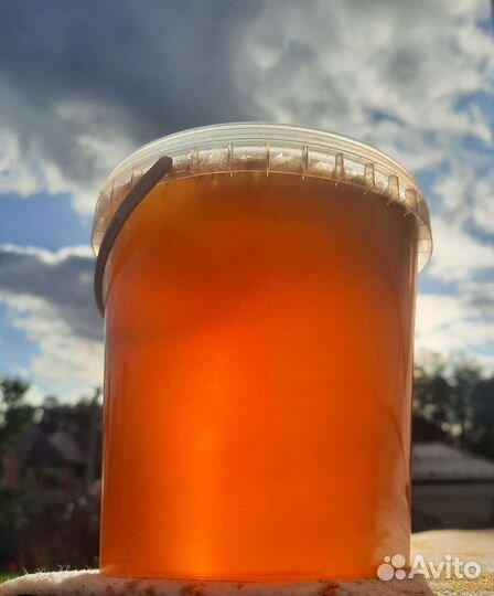 Мёд свежий