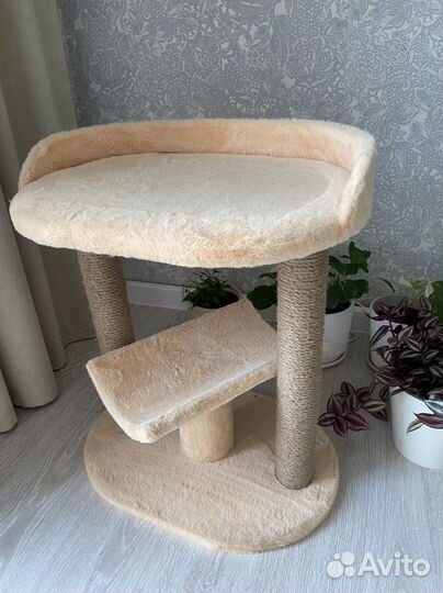 Когтеточка для кошки