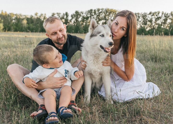 Участок 8 сот. (СНТ, ДНП)