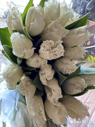 Тюльпаны к 8 марта