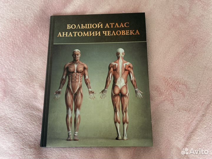 Большой атлас анатомии человека