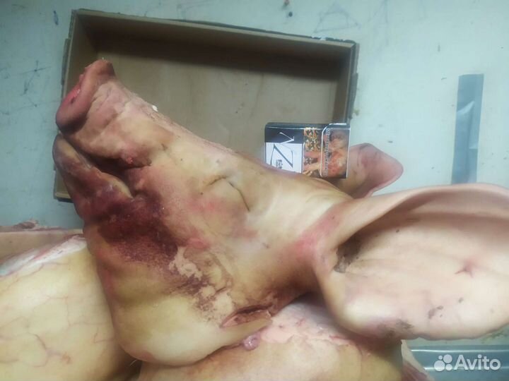 Голова свиная. Свежая. Разруб бесплатно