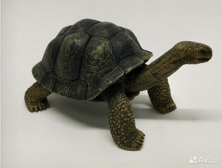 4D пазл Черепаха